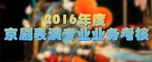 老年人xxx黄色视频国家京剧院2016年度京剧表演专业业务考...